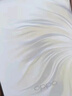 OPPO【國家補貼立減15%】Reno14 新款oppo手機 opporeno14 全網通5g手機 學生游戲智能拍照手機 reno14 人魚姬 16GB+256GB 官方標配 | 藍牙耳機+電話手表 曬單實拍圖