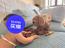 澳貝（auby）兒童毛絨玩具狗音樂互動電子哈基米寵物安撫玩偶可卡布生日禮物 曬單實(shí)拍圖