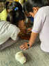 勝旅跳棋玻璃彈珠木質(zhì)實(shí)木跳跳棋大號紅木兒童益智玩具游戲棋 曬單實(shí)拍圖