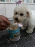 Twinkling starTwinkling Star鱉蛋爆毛粉卵磷脂補鈣增毛寵物狗狗貓咪美毛益生菌 200克 曬單實拍圖