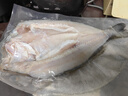 鮮京采三去海鱸魚(yú)3斤/3條 生鮮魚(yú)類(lèi) 白蕉鱸魚(yú)地標(biāo) 無(wú)冰凈重3斤 源頭直發(fā) 曬單實(shí)拍圖