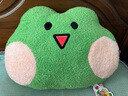 名創(chuàng)優(yōu)品（MINISO）minini系列頭型靠枕毛絨玩具睡覺抱枕沙發(fā)臥室陪伴玩偶 lenini 曬單實拍圖