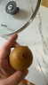 佳沛（zespri）新西蘭  陽(yáng)光金奇異果6粒裝 單果約77-103g  源頭直發(fā)  獼猴桃 曬單實(shí)拍圖