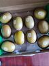 佳沛（zespri）新西蘭  陽(yáng)光金奇異果10粒禮盒巨大果單果約144-175g 水果 獼猴桃 曬單實(shí)拍圖