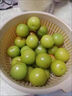 京配嘉果錢(qián)排三月李李子新鮮孕婦水果當季酸脆整箱青李子大果 1斤甄選裝 曬單實(shí)拍圖