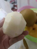 順豐湖北百里洲黃花梨砂梨現(xiàn)摘新鮮脆甜雪梨子沙梨翠冠梨送禮特產(chǎn) 順豐快遞 5斤脆甜多汁 曬單實拍圖
