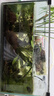 森森（SUNSUN）魚缸鋁合金刮藻刀無死角清理清潔長柄清洗神器 【便捷更換刀片】單節(jié)35cm+贈5刀片 曬單實拍圖