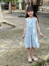 WVD國際品牌女童夏季裙子2025新款夏天沙灘裙小女孩雪紡公主裙兒童夏裝洋裝 藍色 藍色 110 CM 曬單實(shí)拍圖