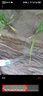 湃得利充電式潛水泵無線遙控抽水機(jī)農(nóng)用智能灌溉12V鋰電池直流抽水泵 1寸【續(xù)航兩小時(shí)】+40米管 曬單實(shí)拍圖