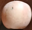 【超級低價(jià)】紅富士蘋(píng)果正宗洛川蘋(píng)果新鮮脆甜水果冰糖心整箱批發(fā) 優(yōu)選中果【60-70mm】?jì)糁?斤裝 限時(shí)特賣(mài)：只剩00:05分 曬單實(shí)拍圖