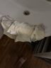 婷美7A桑蠶絲抗菌高腰女士內(nèi)褲收小肚子收腹無痕超高彈無縫一體3條裝 曬單實拍圖