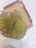 京鮮生 進(jìn)口金枕頭榴蓮 凈重5-6斤 1個裝  鮮果 生鮮 新鮮水果 曬單實拍圖