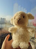 Jellycat小羊公仔動物毛絨玩偶潮玩安撫娃娃兒童陪伴公仔送禮生日禮物擺件 乳白色 Little 曬單實(shí)拍圖
