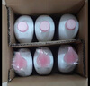 威露士清可新抑菌洗手液櫻花525mlx6大瓶 泡沫豐富保濕帶補充裝 曬單實拍圖