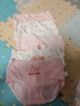 頂瓜瓜5條女童內褲兒童三角純棉內褲10A抑菌中大童不夾屁屁透氣寶寶短褲 曬單實(shí)拍圖