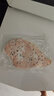 叮叮懶人菜0添加雙蛋白藜麥雞排100g 營養(yǎng)早餐 高蛋白升級健身兒童早餐 露營 【爆款】雙蛋白藜麥雞排10袋 曬單實(shí)拍圖