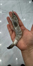 厄爾多瓜大蝦新鮮冷凍單凍大蝦鹽凍大蝦南美白蝦大青蝦對蝦海鮮 1.5kg(凈重)  鹽凍大蝦20/30*1盒 曬單實(shí)拍圖