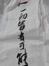 李寧小龍雀競速比賽跑步背心25新款男跑步修身彈力比賽上衣AAYV123 曬單實(shí)拍圖