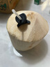 海南文昌去皮椰青大果新鮮現(xiàn)摘現(xiàn)發(fā)孕婦補(bǔ)羊水香水椰子蛋水果特產(chǎn) 2個(gè) 900-1200g大果（送開椰工具） 曬單實(shí)拍圖