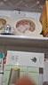 初夏堂蘆薈膠補(bǔ)水保濕舒緩蘆薈凝膠男女士曬后呵護(hù)滋潤(rùn)嫩膚面霜護(hù)膚品 2支裝440g 曬單實(shí)拍圖