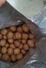 新邊界（new boundaries）薄皮核桃1500g 新疆特產(chǎn)阿克蘇核桃堅果炒貨手剝原味量販 曬單實拍圖