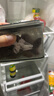 春江月青梅抱葡萄258g話梅干肉陳皮咸話梅青梅抱葡萄爆漿果粒梅休閑零食 曬單實(shí)拍圖