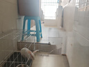 哈駱頓狗籠子中型犬小型犬室內(nèi)家用帶廁所寵物圍欄柯基柴犬折疊寵物狗窩 白色-加粗加密【50*35*40】 【耐磨耐咬-不易褪色-折疊收納】 曬單實(shí)拍圖