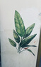 歐仕圖（OUSHITU）ins墻貼自粘 清新植物墻壁裝飾貼畫客廳臥室墻面布置貼紙走廊墻紙 舒心一角（超大） 曬單實拍圖