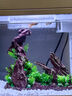 森森（SUNSUN）超白魚缸一體缸自循環(huán)客廳水族箱桌面家用懶人免換水小型金魚缸 超白HEJ300標(biāo)配+假山景 曬單實(shí)拍圖