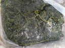 榮成海帶國家地理標(biāo)識 鹽漬海帶絲 特厚火鍋食材涼拌菜海鮮干貨 整箱 5斤裝鹽漬海帶絲 曬單實(shí)拍圖