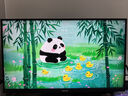華碩VG27AQL5A小金剛27Max 27英寸顯示器2K 180Hz顯示器超頻210Hz FastIPS FreeSync 0.3ms響應(yīng)HDR400 曬單實(shí)拍圖