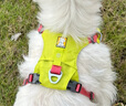 拉夫威爾ruffwear嗨輕狗狗胸背帶狗背帶中小型犬雪納瑞背帶式狗狗牽引繩 苔蘚綠 XS 曬單實拍圖