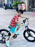 鳳凰兒童自行車6-8-10-15歲男孩女孩中大童山地車小學生碟剎變速單車 【爆】7級變速一體輪-灰綠+禮包 22寸-適合身高140-160cm 曬單實拍圖