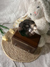 RiksoinG3000高品質(zhì)喇叭花音響木質(zhì) 居家藝術(shù)復(fù)古無(wú)線(xiàn)藍(lán)牙音箱便攜式戶(hù)外FM收音機(jī)禮物 標(biāo)準(zhǔn)版【HiFi音質(zhì)-5.4藍(lán)牙芯片】 曬單實(shí)拍圖