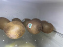 佳沛（zespri）綠奇異果 優(yōu)選大果12粒單果約113-135g  水果禮盒 獼猴桃 曬單實(shí)拍圖