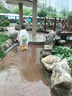 SHUKIKU兒童雨衣幼兒園小學(xué)生防霉親膚雨衣戶外雨披透明款綠色小鱷魚S碼 曬單實拍圖