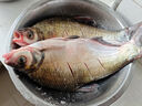 主線盒大線軸8軸釣魚線圈線組漁具子線盒魚線收納盒垂釣用品配件 4線軸裝+軸+4大頭針+4貼紙 2個(gè) 曬單實(shí)拍圖