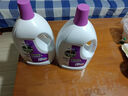 滴露（Dettol）衣物消毒液 薰衣草3L 99.9%殺菌除螨內(nèi)衣兒童衣物除菌液配洗衣液 曬單實(shí)拍圖