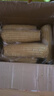 京鮮生東北白糯玉米250g*10棒 新鮮甜糯玉米棒真空包裝粘玉米 源頭直發(fā) 曬單實拍圖