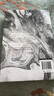 正版精裝 我是貓 夏目漱石著中文完整版外國文學(xué)日本名著小說青少年中小學(xué)生課外推薦閱讀書籍 我是貓(精裝) 曬單實(shí)拍圖