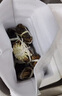 【活蟹】湖鮮陽澄 大閘蟹 去繩足重 2.3-2.6兩 8只 鮮活六月黃現(xiàn)貨超大螃蟹水產(chǎn)禮盒裝 曬單實拍圖
