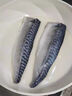 朵芙挪威 青花魚(yú) 6片1kg深海魚(yú)類(lèi)特大青花魚(yú)鯖魚(yú)鮐鲅魚(yú)生鮮海鮮水產(chǎn) 【單片獨(dú)立包裝】超大6片凈1000g 曬單實(shí)拍圖