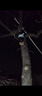 安保力科 DC電源延長(zhǎng)線海康監(jiān)控?cái)z像頭路由器太陽(yáng)能LED燈電源線12VDC公母5.5*2.1mm接口 黑色20米 曬單實(shí)拍圖