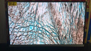 飛利浦EVNIA 27英寸4K240Hz 硬件護眼QD-OLED 色準＜1 滿血DP2.1光效音響 國家補貼 電競顯示器27M2N8800 曬單實拍圖
