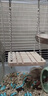 曇蓓漫倉鼠玩具秋千金絲熊造景木制解悶自嗨吊床懸掛站臺倉鼠籠家具實木 倉鼠吊鏈秋千【1個 約9×7CM】 曬單實拍圖