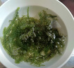 云山半鹽漬海葡萄100g*3即食兒童涼拌菜魚(yú)子醬火鍋商家用贈(zèng)6種蘸料海藻 曬單實(shí)拍圖