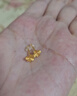 周六福足金999四葉草黃金耳釘女耳飾七夕禮物計(jì)價(jià)AA096009 一對 約0.73g 曬單實(shí)拍圖