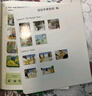 典范英語2+活動手冊2 小學(xué)英語分級閱讀 幼兒啟蒙繪本 自然拼讀 趣味少兒英語練習(xí) 2-12歲 弘書閣原版引進 曬單實拍圖