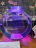 月光水母簡(jiǎn)約水母缸活體寵物海水魚缸入門迷你小型赤月光水母桌面水族箱 不含水母套裝 曬單實(shí)拍圖