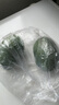 趣嘗鮮 攀枝花凱特芒2粒裝 大果 單果600g+  源頭直發(fā) 一件包郵 曬單實(shí)拍圖